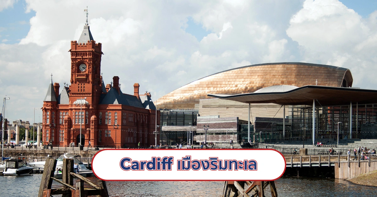 Cardiff City | SI-UK